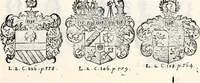An illustration from Historia insignium illustrium sev Operis heraldici pars specialis : continens delineationem insignium plerorumque regum, ducum principum, comitum & baronum in cultiori Europa, cum explicatione singularum tesserarum, & multis ad familiarum decora titulos atque jura spectantibus, nec non tabulis aeneis scuta galeasq : in opere explicata obtutui exponentibus & indicibus necessariis (1680)