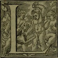 An illustration from [Historiale description de l'Afrique, tierce partie du monde :bcontenant ses royaumes, regions, viles, cités, chateaux et forteresses : iles, flleuves, animaux, tant aquatiques, que terrestres : coutumes, loix, religion et façon de faire des habitas : auec pourtraits de leurs habis : emsemble autres choses memorables et singulières nouueautés (1556)