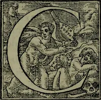 An illustration from [Historiale description de l'Afrique, tierce partie du monde :bcontenant ses royaumes, regions, viles, cités, chateaux et forteresses : iles, flleuves, animaux, tant aquatiques, que terrestres : coutumes, loix, religion et façon de faire des habitas : auec pourtraits de leurs habis : emsemble autres choses memorables et singulières nouueautés (1556)