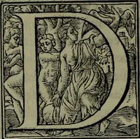 An illustration from [Historiale description de l'Afrique, tierce partie du monde :bcontenant ses royaumes, regions, viles, cités, chateaux et forteresses : iles, flleuves, animaux, tant aquatiques, que terrestres : coutumes, loix, religion et façon de faire des habitas : auec pourtraits de leurs habis : emsemble autres choses memorables et singulières nouueautés (1556)