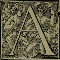 An illustration from [Historiale description de l'Afrique, tierce partie du monde :bcontenant ses royaumes, regions, viles, cités, chateaux et forteresses : iles, flleuves, animaux, tant aquatiques, que terrestres : coutumes, loix, religion et façon de faire des habitas : auec pourtraits de leurs habis : emsemble autres choses memorables et singulières nouueautés (1556)