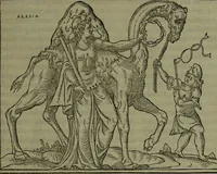 Picture 7 of 21 from [Historiale description de l'Afrique, tierce partie du monde :bcontenant ses royaumes, regions, viles, cités, chateaux et forteresses : iles, flleuves, animaux, tant aquatiques, que terrestres : coutumes, loix, religion et façon de faire des habitas : auec pourtraits de leurs habis : emsemble autres choses memorables et singulières nouueautés (1556), leaf 30