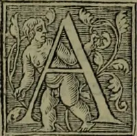 An illustration from [Historiale description de l'Afrique, tierce partie du monde :bcontenant ses royaumes, regions, viles, cités, chateaux et forteresses : iles, flleuves, animaux, tant aquatiques, que terrestres : coutumes, loix, religion et façon de faire des habitas : auec pourtraits de leurs habis : emsemble autres choses memorables et singulières nouueautés (1556)