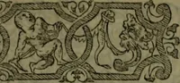 An illustration from [Historiale description de l'Afrique, tierce partie du monde :bcontenant ses royaumes, regions, viles, cités, chateaux et forteresses : iles, flleuves, animaux, tant aquatiques, que terrestres : coutumes, loix, religion et façon de faire des habitas : auec pourtraits de leurs habis : emsemble autres choses memorables et singulières nouueautés (1556)