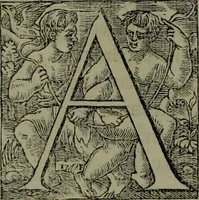 An illustration from [Historiale description de l'Afrique, tierce partie du monde :bcontenant ses royaumes, regions, viles, cités, chateaux et forteresses : iles, flleuves, animaux, tant aquatiques, que terrestres : coutumes, loix, religion et façon de faire des habitas : auec pourtraits de leurs habis : emsemble autres choses memorables et singulières nouueautés (1556)