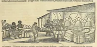 An illustration from Historia naturalis Brasiliae, : auspicio et beneficio illustriss. I. Mauritii Com. Nassau ... adornata : in qua non tantum plantæ et animalia, sed et indigenarum morbi, ingenia et mores describuntur et iconibus supra quingentas illustrantur (1648)