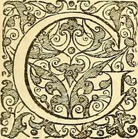 Picture 106 of 491 from Historia naturalis Brasiliae : auspicio et beneficio illustriss. I. Mauriti Com. Nassau illius provinciae et maris summi praefecti adornata : in qua non tantum plantae et animalia, sed et indigenarum morbi, ingenia et mores describuntur et iconibus supra quingentas illustrantur (1648), leaf 146