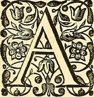 Picture 431 of 491 from Historia naturalis Brasiliae : auspicio et beneficio illustriss. I. Mauriti Com. Nassau illius provinciae et maris summi praefecti adornata : in qua non tantum plantae et animalia, sed et indigenarum morbi, ingenia et mores describuntur et iconibus supra quingentas illustrantur (1648), leaf 370