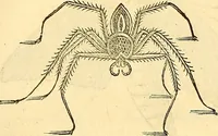 Picture 473 of 491 from Historia naturalis Brasiliae : auspicio et beneficio illustriss. I. Mauriti Com. Nassau illius provinciae et maris summi praefecti adornata : in qua non tantum plantae et animalia, sed et indigenarum morbi, ingenia et mores describuntur et iconibus supra quingentas illustrantur (1648), leaf 398