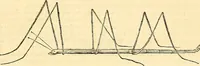 Picture 475 of 491 from Historia naturalis Brasiliae : auspicio et beneficio illustriss. I. Mauriti Com. Nassau illius provinciae et maris summi praefecti adornata : in qua non tantum plantae et animalia, sed et indigenarum morbi, ingenia et mores describuntur et iconibus supra quingentas illustrantur (1648), leaf 400