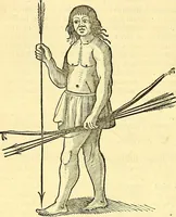 Picture 486 of 491 from Historia naturalis Brasiliae : auspicio et beneficio illustriss. I. Mauriti Com. Nassau illius provinciae et maris summi praefecti adornata : in qua non tantum plantae et animalia, sed et indigenarum morbi, ingenia et mores describuntur et iconibus supra quingentas illustrantur (1648), leaf 419