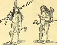 Picture 488 of 491 from Historia naturalis Brasiliae : auspicio et beneficio illustriss. I. Mauriti Com. Nassau illius provinciae et maris summi praefecti adornata : in qua non tantum plantae et animalia, sed et indigenarum morbi, ingenia et mores describuntur et iconibus supra quingentas illustrantur (1648), leaf 429