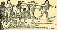 Picture 489 of 491 from Historia naturalis Brasiliae : auspicio et beneficio illustriss. I. Mauriti Com. Nassau illius provinciae et maris summi praefecti adornata : in qua non tantum plantae et animalia, sed et indigenarum morbi, ingenia et mores describuntur et iconibus supra quingentas illustrantur (1648), leaf 429