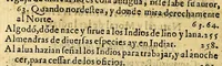 An illustration from Historia natural y moral de las Indias, : en que se tratan las cosas notables del cielo, y elementos, metales ... y guerras de los Indios. (1608)