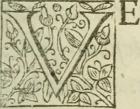 An illustration from Historia natvralis et experimentalis ad condendam philosophiam; sive, Phaenomena vniversi, quae est Instaurationis magnae pars tertia (1622)