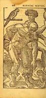 An illustration from Historia nauigationis in Brasiliam, quae et America dicitur. : Qua describitur autoris nauigatio, quaéque in mari vidit memoriae prodenda: Villagagnonis in America gesta: Brasiliensium victus & mores, à nostris admodum alieni, cum eorum linguae dialogo: animalia etiam, arbores, atque herbae, reliquáque singularia & nobis penitùs incognita. (1586)