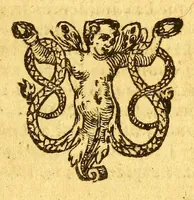 Picture 9 of 9 from Historia nauigationis in Brasiliam, quae et America dicitur. : Qua describitur autoris nauigatio, quaéque in mari vidit memoriae prodenda: Villagagnonis in America gesta: Brasiliensium victus & mores, à nostris admodum alieni, cum eorum linguae dialogo: animalia etiam, arbores, atque herbae, reliquáque singularia & nobis penitùs incognita. (1586), leaf 431