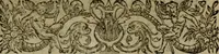 An illustration from Historia navigationis in Brasiliam quae et America dicitvr : qua describitvr avthoris navigatio, quaeque in mari vidit memoriae prodenda, Villagagnonis in America gesta : Brasiliensium victus & mores, à nostris admodum alieni, cum eorum linguae dialogo : animalia etiam, arbores atque herbae, reliquaque singularia & nobis penitus incognita (1594)