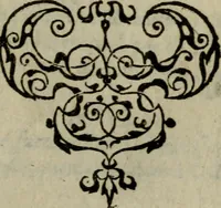 An illustration from Historia navigationis in Brasiliam quae et America dicitvr : qua describitvr avthoris navigatio, quaeque in mari vidit memoriae prodenda, Villagagnonis in America gesta : Brasiliensium victus & mores, à nostris admodum alieni, cum eorum linguae dialogo : animalia etiam, arbores atque herbae, reliquaque singularia & nobis penitus incognita (1594)