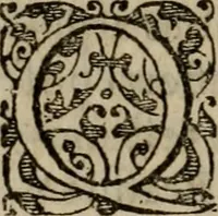 An illustration from Historia navigationis in Brasiliam quae et America dicitvr : qua describitvr avthoris navigatio, quaeque in mari vidit memoriae prodenda, Villagagnonis in America gesta : Brasiliensium victus & mores, à nostris admodum alieni, cum eorum linguae dialogo : animalia etiam, arbores atque herbae, reliquaque singularia & nobis penitus incognita (1594)