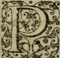 An illustration from Historia navigationis in Brasiliam quae et America dicitvr : qua describitvr avthoris navigatio, quaeque in mari vidit memoriae prodenda, Villagagnonis in America gesta : Brasiliensium victus & mores, à nostris admodum alieni, cum eorum linguae dialogo : animalia etiam, arbores atque herbae, reliquaque singularia & nobis penitus incognita (1594)