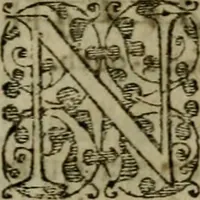 An illustration from Historia navigationis in Brasiliam quae et America dicitvr : qua describitvr avthoris navigatio, quaeque in mari vidit memoriae prodenda, Villagagnonis in America gesta : Brasiliensium victus & mores, à nostris admodum alieni, cum eorum linguae dialogo : animalia etiam, arbores atque herbae, reliquaque singularia & nobis penitus incognita (1594)