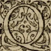 An illustration from Historia navigationis in Brasiliam quae et America dicitvr : qua describitvr avthoris navigatio, quaeque in mari vidit memoriae prodenda, Villagagnonis in America gesta : Brasiliensium victus & mores, à nostris admodum alieni, cum eorum linguae dialogo : animalia etiam, arbores atque herbae, reliquaque singularia & nobis penitus incognita (1594)