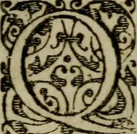 An illustration from Historia navigationis in Brasiliam quae et America dicitvr : qua describitvr avthoris navigatio, quaeque in mari vidit memoriae prodenda, Villagagnonis in America gesta : Brasiliensium victus & mores, à nostris admodum alieni, cum eorum linguae dialogo : animalia etiam, arbores atque herbae, reliquaque singularia & nobis penitus incognita (1594)