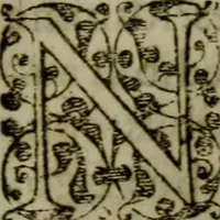 An illustration from Historia navigationis in Brasiliam quae et America dicitvr : qua describitvr avthoris navigatio, quaeque in mari vidit memoriae prodenda, Villagagnonis in America gesta : Brasiliensium victus & mores, à nostris admodum alieni, cum eorum linguae dialogo : animalia etiam, arbores atque herbae, reliquaque singularia & nobis penitus incognita (1594)