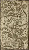 An illustration from Historia navigationis in Brasiliam quae et America dicitvr : qua describitvr avthoris navigatio, quaeque in mari vidit memoriae prodenda, Villagagnonis in America gesta : Brasiliensium victus & mores, à nostris admodum alieni, cum eorum linguae dialogo : animalia etiam, arbores atque herbae, reliquaque singularia & nobis penitus incognita (1594)