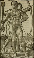 An illustration from Historia navigationis in Brasiliam quae et America dicitvr : qua describitvr avthoris navigatio, quaeque in mari vidit memoriae prodenda, Villagagnonis in America gesta : Brasiliensium victus & mores, à nostris admodum alieni, cum eorum linguae dialogo : animalia etiam, arbores atque herbae, reliquaque singularia & nobis penitus incognita (1594)