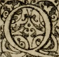 An illustration from Historia navigationis in Brasiliam quae et America dicitvr : qua describitvr avthoris navigatio, quaeque in mari vidit memoriae prodenda, Villagagnonis in America gesta : Brasiliensium victus & mores, à nostris admodum alieni, cum eorum linguae dialogo : animalia etiam, arbores atque herbae, reliquaque singularia & nobis penitus incognita (1594)
