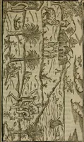 An illustration from Historia navigationis in Brasiliam quae et America dicitvr : qua describitvr avthoris navigatio, quaeque in mari vidit memoriae prodenda, Villagagnonis in America gesta : Brasiliensium victus & mores, à nostris admodum alieni, cum eorum linguae dialogo : animalia etiam, arbores atque herbae, reliquaque singularia & nobis penitus incognita (1594)