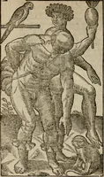 An illustration from Historia navigationis in Brasiliam quae et America dicitvr : qua describitvr avthoris navigatio, quaeque in mari vidit memoriae prodenda, Villagagnonis in America gesta : Brasiliensium victus & mores, à nostris admodum alieni, cum eorum linguae dialogo : animalia etiam, arbores atque herbae, reliquaque singularia & nobis penitus incognita (1594)