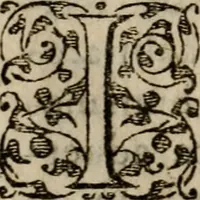 An illustration from Historia navigationis in Brasiliam quae et America dicitvr : qua describitvr avthoris navigatio, quaeque in mari vidit memoriae prodenda, Villagagnonis in America gesta : Brasiliensium victus & mores, à nostris admodum alieni, cum eorum linguae dialogo : animalia etiam, arbores atque herbae, reliquaque singularia & nobis penitus incognita (1594)