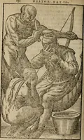 Picture 31 of 36 from Historia navigationis in Brasiliam quae et America dicitvr : qua describitvr avthoris navigatio, quaeque in mari vidit memoriae prodenda, Villagagnonis in America gesta : Brasiliensium victus & mores, à nostris admodum alieni, cum eorum linguae dialogo : animalia etiam, arbores atque herbae, reliquaque singularia & nobis penitus incognita (1594), leaf 335