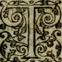 An illustration from Historia navigationis in Brasiliam quae et America dicitvr : qua describitvr avthoris navigatio, quaeque in mari vidit memoriae prodenda, Villagagnonis in America gesta : Brasiliensium victus & mores, à nostris admodum alieni, cum eorum linguae dialogo : animalia etiam, arbores atque herbae, reliquaque singularia & nobis penitus incognita (1594)
