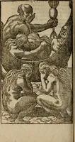 An illustration from Historia navigationis in Brasiliam quae et America dicitvr : qua describitvr avthoris navigatio, quaeque in mari vidit memoriae prodenda, Villagagnonis in America gesta : Brasiliensium victus & mores, à nostris admodum alieni, cum eorum linguae dialogo : animalia etiam, arbores atque herbae, reliquaque singularia & nobis penitus incognita (1594)