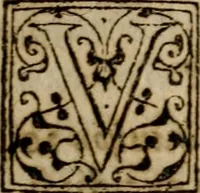 An illustration from Historia navigationis in Brasiliam quae et America dicitvr : qua describitvr avthoris navigatio, quaeque in mari vidit memoriae prodenda, Villagagnonis in America gesta : Brasiliensium victus & mores, à nostris admodum alieni, cum eorum linguae dialogo : animalia etiam, arbores atque herbae, reliquaque singularia & nobis penitus incognita (1594)