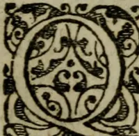 An illustration from Historia navigationis in Brasiliam quae et America dicitvr : qua describitvr avthoris navigatio, quaeque in mari vidit memoriae prodenda, Villagagnonis in America gesta : Brasiliensium victus & mores, à nostris admodum alieni, cum eorum linguae dialogo : animalia etiam, arbores atque herbae, reliquaque singularia & nobis penitus incognita (1594)