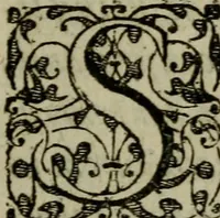 An illustration from Historia navigationis in Brasiliam quae et America dicitvr : qua describitvr avthoris navigatio, quaeque in mari vidit memoriae prodenda, Villagagnonis in America gesta : Brasiliensium victus & mores, à nostris admodum alieni, cum eorum linguae dialogo : animalia etiam, arbores atque herbae, reliquaque singularia & nobis penitus incognita (1594)