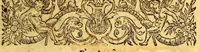 An illustration from Historia navigationis in Brasiliam quae et America dicitur. : Qua describitur authoris nauigatio, quaeque in mari vidit memoriae prodenda: Villagagnonis in America gesta: Brasiliensium victus & mores, à nostris admodum alieni, cum eorum linguae dialogo: animalia etiam, arbores, atque herbae reliquáque singularia & nobis penitus incognita. (1594)