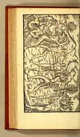An illustration from Historia navigationis in Brasiliam quae et America dicitur. : Qua describitur authoris nauigatio, quaeque in mari vidit memoriae prodenda: Villagagnonis in America gesta: Brasiliensium victus & mores, à nostris admodum alieni, cum eorum linguae dialogo: animalia etiam, arbores, atque herbae reliquáque singularia & nobis penitus incognita. (1594)