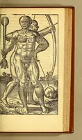 Picture 11 of 16 from Historia navigationis in Brasiliam quae et America dicitur. : Qua describitur authoris nauigatio, quaeque in mari vidit memoriae prodenda: Villagagnonis in America gesta: Brasiliensium victus & mores, à nostris admodum alieni, cum eorum linguae dialogo: animalia etiam, arbores, atque herbae reliquáque singularia & nobis penitus incognita. (1594), leaf 259
