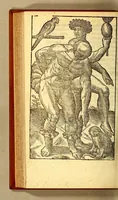 An illustration from Historia navigationis in Brasiliam quae et America dicitur. : Qua describitur authoris nauigatio, quaeque in mari vidit memoriae prodenda: Villagagnonis in America gesta: Brasiliensium victus & mores, à nostris admodum alieni, cum eorum linguae dialogo: animalia etiam, arbores, atque herbae reliquáque singularia & nobis penitus incognita. (1594)