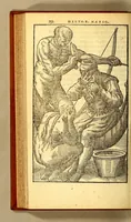 Picture 14 of 16 from Historia navigationis in Brasiliam quae et America dicitur. : Qua describitur authoris nauigatio, quaeque in mari vidit memoriae prodenda: Villagagnonis in America gesta: Brasiliensium victus & mores, à nostris admodum alieni, cum eorum linguae dialogo: animalia etiam, arbores, atque herbae reliquáque singularia & nobis penitus incognita. (1594), leaf 338