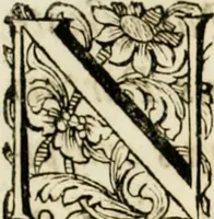 An illustration from Historica notitia rerum Boicarum : symbolis ac figuris aeneis illustrata : in funere Caroli VII. Romanorum Imperatoris semp. aug. virtutum triumpho, solemnium quondam occasione exequiarum, accommodata : cui accedit in fine oratio funebris in laudem optimi ejusdem Caesaris, anno 1745 habita (1746)