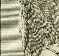 An illustration from Historica notitia rerum Boicarum : symbolis ac figuris aeneis illustrata : in funere Caroli VII. Romanorum Imperatoris semp. aug. virtutum triumpho, solemnium quondam occasione exequiarum, accommodata : cui accedit in fine oratio funebris in laudem optimi ejusdem Caesaris, anno 1745 habita (1746)