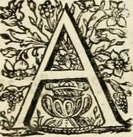 An illustration from Historica notitia rerum Boicarum : symbolis ac figuris aeneis illustrata : in funere Caroli VII. Romanorum Imperatoris semp. aug. virtutum triumpho, solemnium quondam occasione exequiarum, accommodata : cui accedit in fine oratio funebris in laudem optimi ejusdem Caesaris, anno 1745 habita (1746)