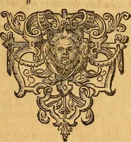 An illustration from Historia novi et admirabilis fontis balneique Bollensis in Ducatu Vvirtembergico ad acidulas Goepingenses ... (1598)